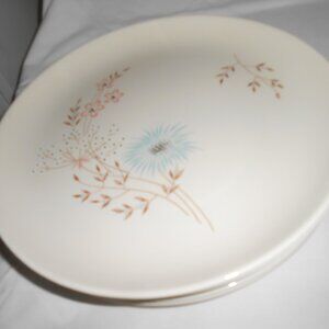 Vtg lot 4 Taylorton American Fine China 10" Dinner Plates Ech Dell design USA 🔥